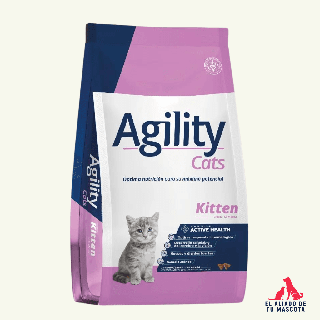 Agility Cats Kitten